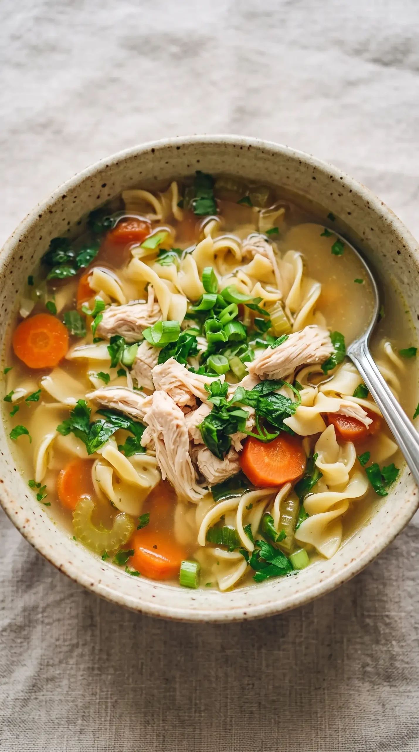 Bowl of chicken soup noodles with shredded chicken, egg noodles, vegetables, and broth